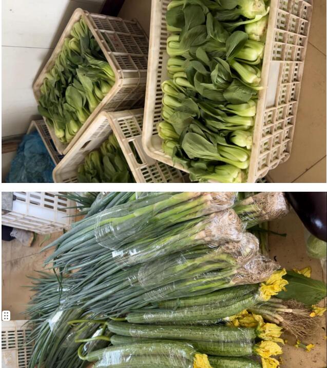 蔬菜配送